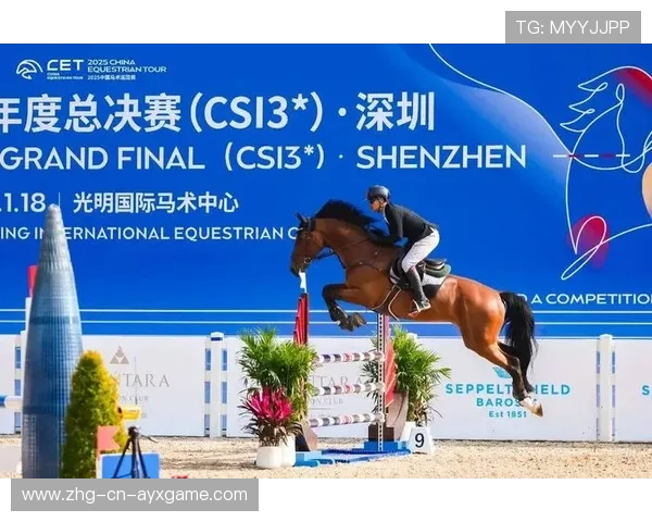 国际马术青年赛推动马匹护理新标准,马术国际比赛 国际马术青年赛推动马匹护理新标准,马术国际比赛